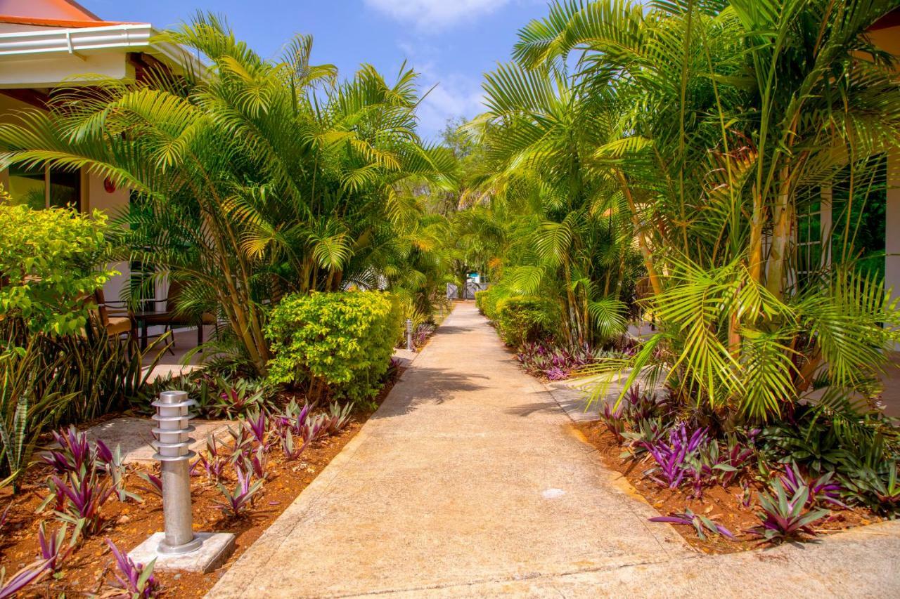 Solare Sai Ecohotel (Adults Only) San Andrés Zewnętrze zdjęcie